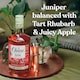 image 5 of Chase Rhubarb & Bramley Apple Gin 70cl