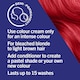 image 4 of Schwarzkopf Live Ultra Brights Semi-Permanent Hair Dye - Pillar Box Red 092