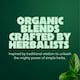 image 4 of Pukka Organic Three Mint Tea With Peppermint for Digestion 20 Herbal Tea Bags 32g