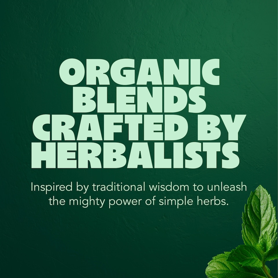 image 1 of Pukka Organic Three Mint Tea With Peppermint for Digestion 20 Herbal Tea Bags 32g