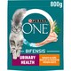 Obrázek 1 pro produkt Purina ONE Bifensis Urinary Care granule pro kočky kuře 800g