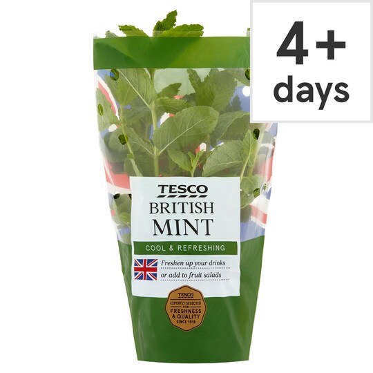 Tesco British Growing Mint Large Pot Tesco Groceries