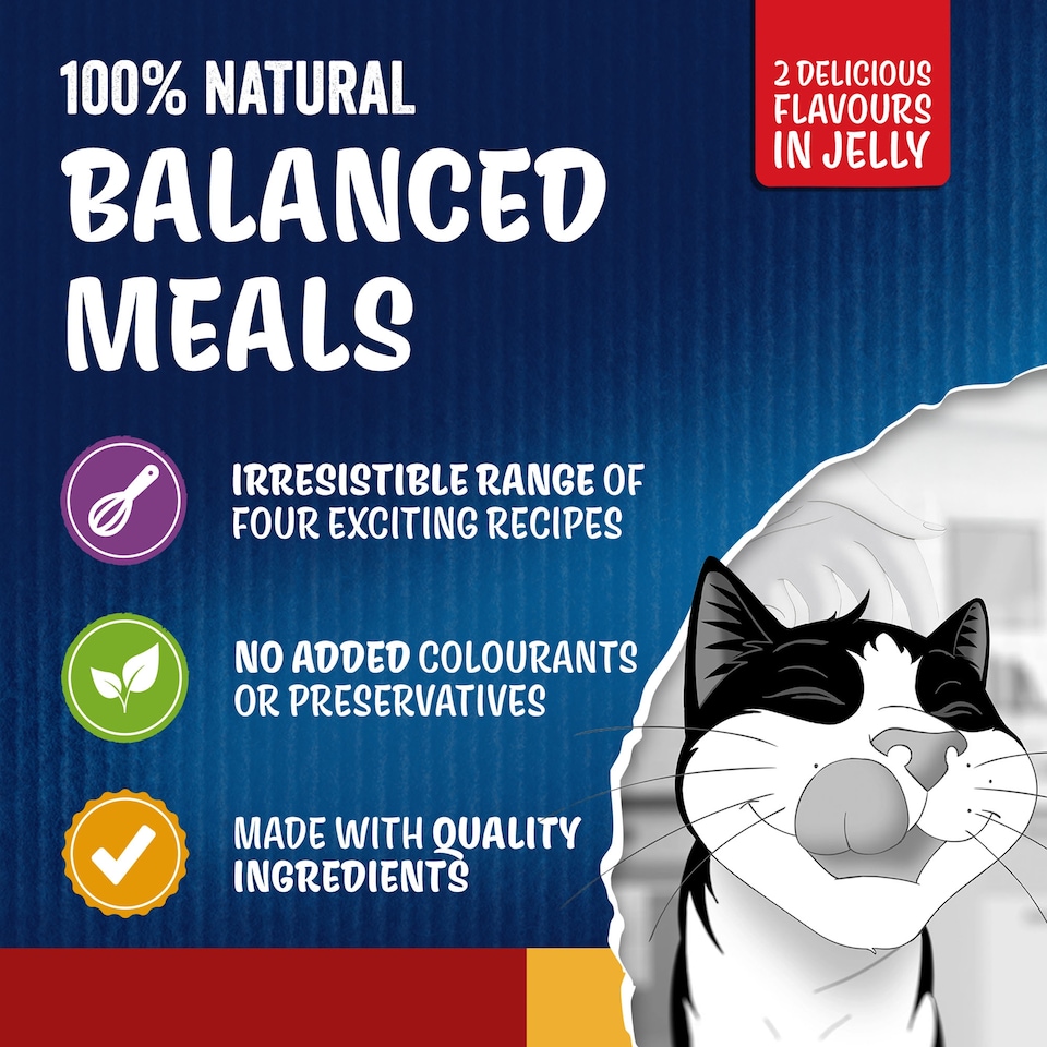 image 1 of FELIX Doubly Delicious Countryside Selection in Jelly Wet Cat Food 12x85g