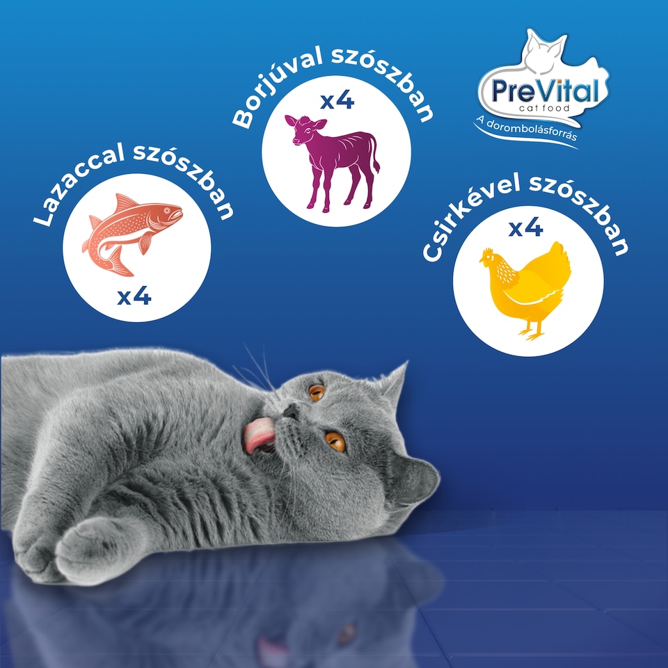PreVital nedves macskaeledel, macskatáp felnőtt macskáknak szószban alutasakos 12 x 100 g  1. kép