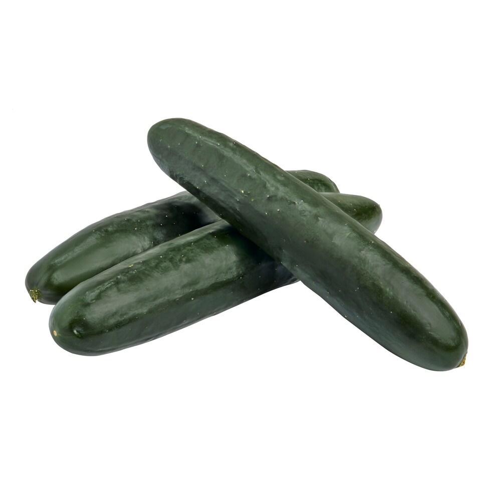 Obrázek 1 pro produkt Okurka polní