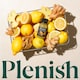 image 4 of PLENISH SHOTS ULTRA GINGER 60ML