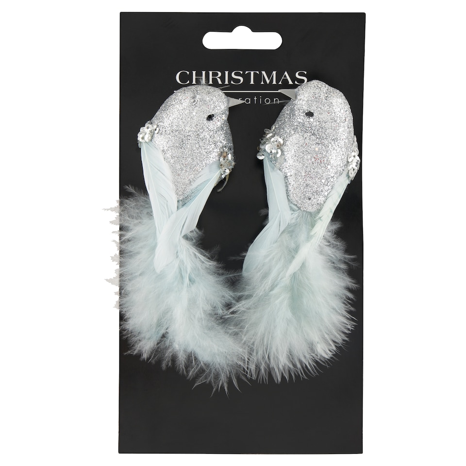 H&S Collection Stříbrní ptáčci vánoční dekorace 2 ks