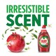 image 3 of Fairy Pomegranate & Grapefruit Washing Up Liquid 1015ML