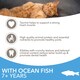 image 3 of Iams Cat Food Senior With Ocean Fish 800G