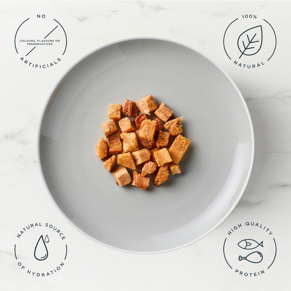 image 1 of Encore Tuna Fillet Freeze Dried Cat Treats 10g