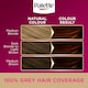 image 5 of Palette Deluxe Permanent Hair Dye - 5-68 Golden Chestnut