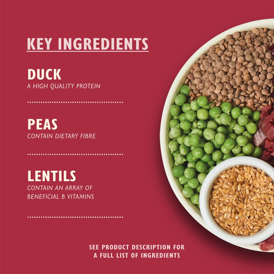 image 1 of Lily's Kitchen Wild Woodland Walk with Duck, Salmon & Venison Dry Dog Food 7kg