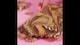 image 2 of Ryvita Fruit Crunch Crisp Bread 200G