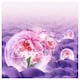 image 5 of LENOR Washing Powder 45 Washes, Flower Bloom
