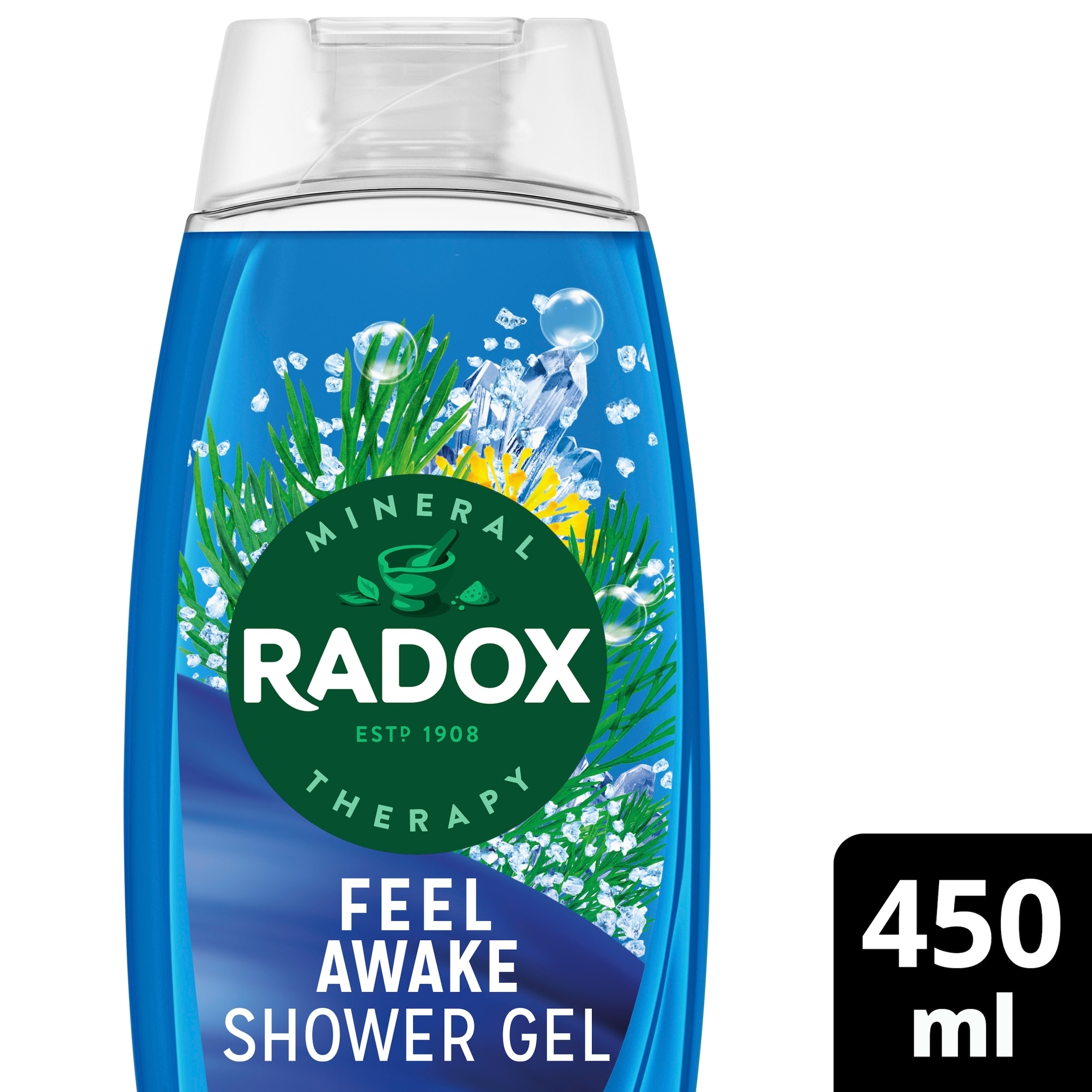 Radox Sea Minerals Feel Awake 2-in-1 Shower Gel Body Wash Shampoo 450ml