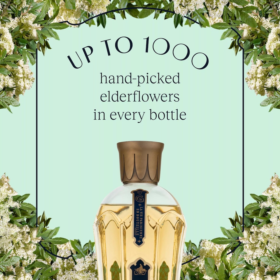 image 1 of ST GERMAIN ELDERFLOWER LIQUEUR 50CL
