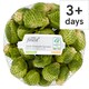 image 1 of Tesco Finest Irish Brussel Sprouts 500G