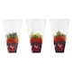 image 2 of Tesco Chili Peppers