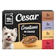 image 1 of CESAR Dog Pouches Creations in Sauce 12x100g