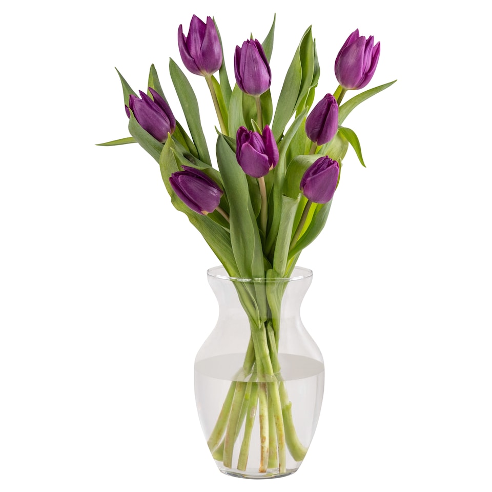 Spring Tulips