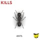 image 3 of Raid Ant Bait