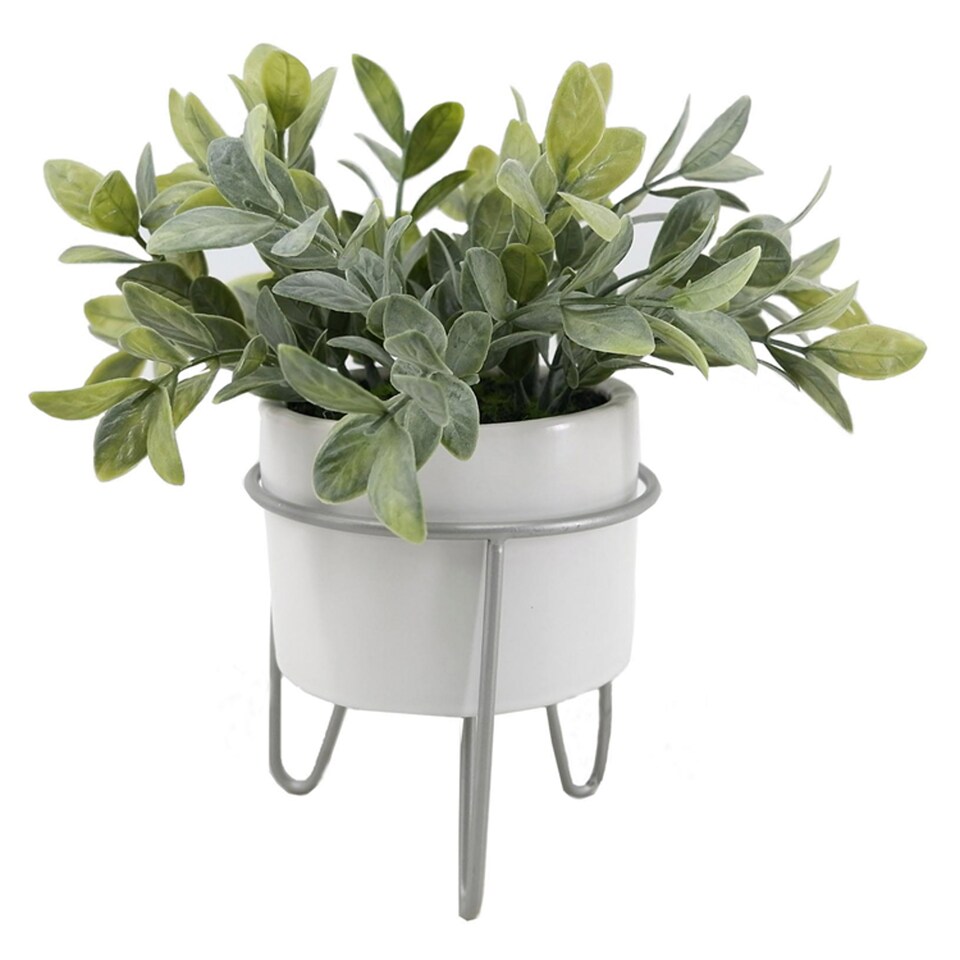 Bayswood Floral Greenery In White Pot In Stand
