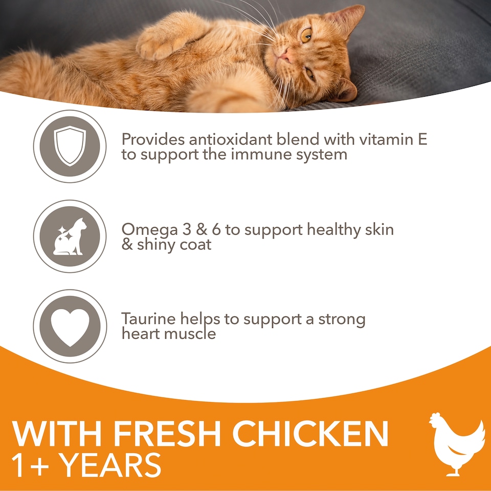 image 1 of Iams Adult 1+ Cat Food With Fresh Chicken 800G