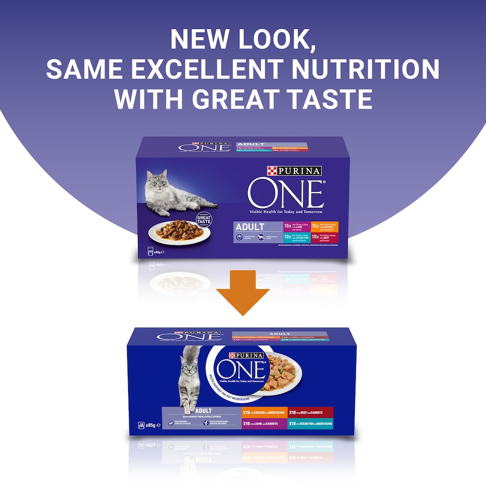 image 1 of Purina One Adult Mini Fillets Mix Cat Food 40X85g