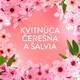 obrázok 2 z Lenor Aviváž, 47 Praní, Cherry Blossom & Sage