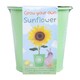 image 2 of GROW YOUR OWN FLOWERS KIT ASSORTMENT
