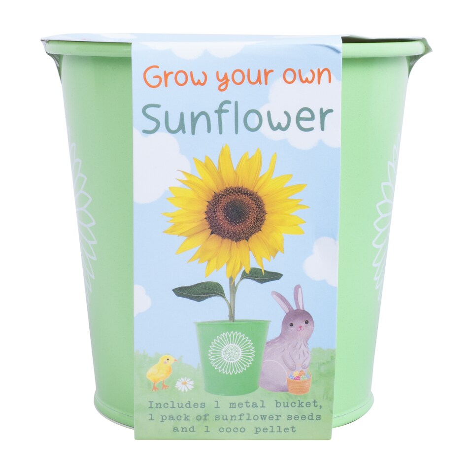 image 1 of GROW YOUR OWN FLOWERS KIT ASSORTMENT