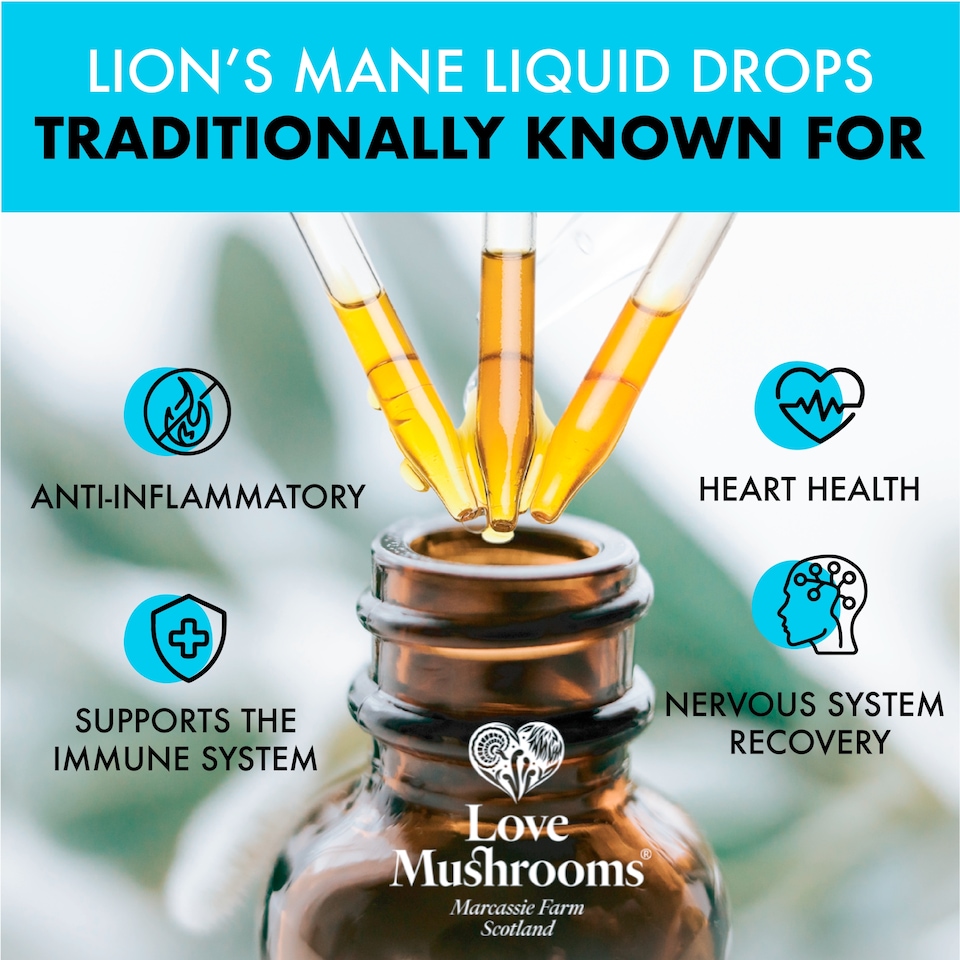 image 1 of Love Mushrooms Lion's Mane Drops, Liquid Extract, 15000mg, 30ml