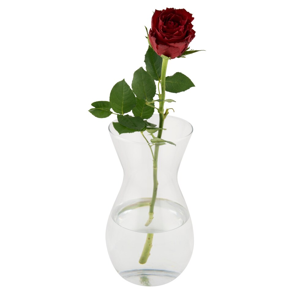 Rózsa 1 szál 50 cm