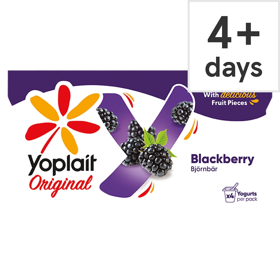 Yoplait Blackberry Yoghurt 4X125g