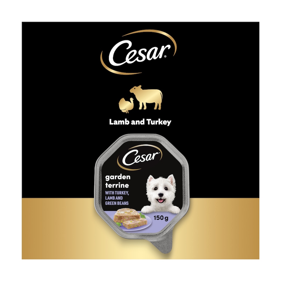 image 1 of Cesar Gnd Terrine Lamb & Turkey Green Beans 150G