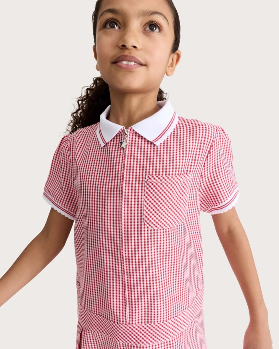 image 1 of F&F School Girls 2-Pack Generous Fit Gingham Short Sleeved Dresses in Red