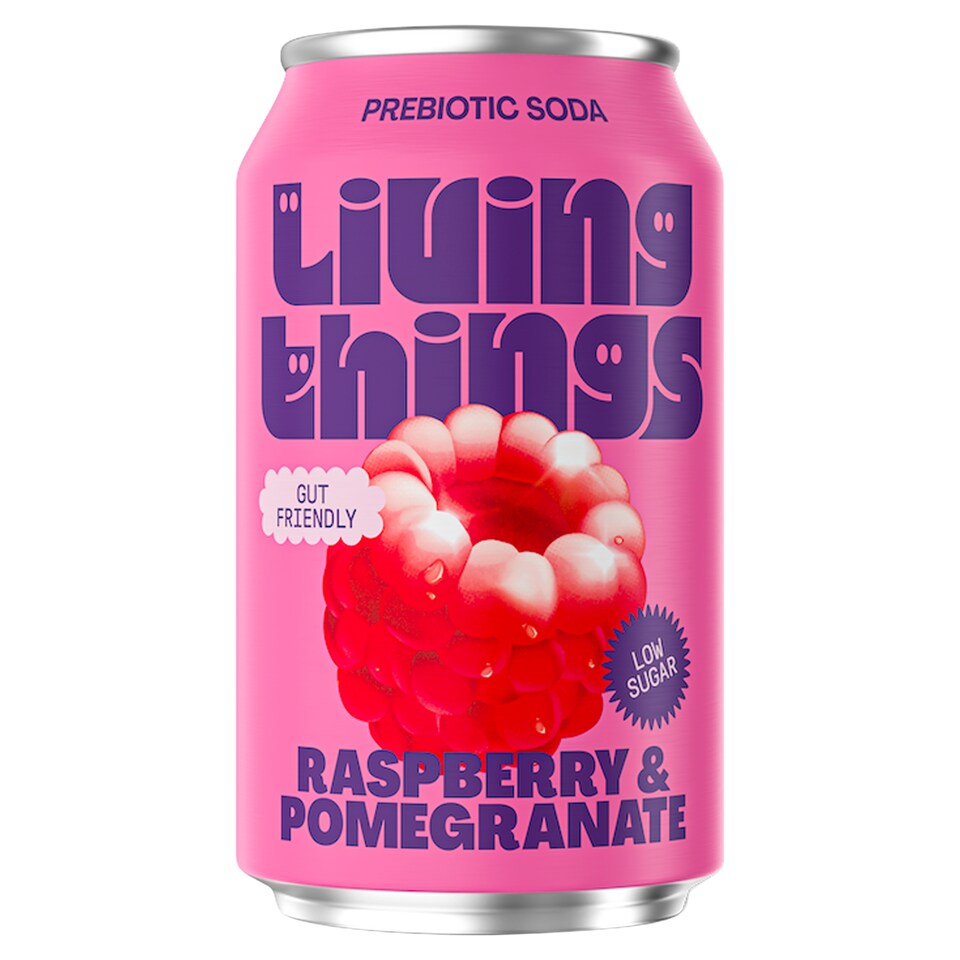 Living Things Raspberry & Pomegranate Biotic Soda 330ml