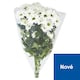 image 1 of Bouquet of Chrysanthemums