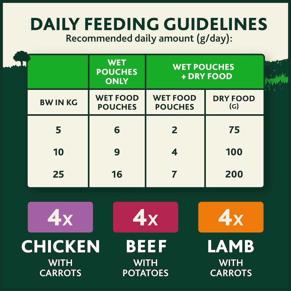 image 1 of WINALOT Meaty Chunks Mixed in Gravy Wet Dog Food 12x100g