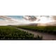 image 4 of Trapiche Reserve Chardonnay 75Cl 75Cl