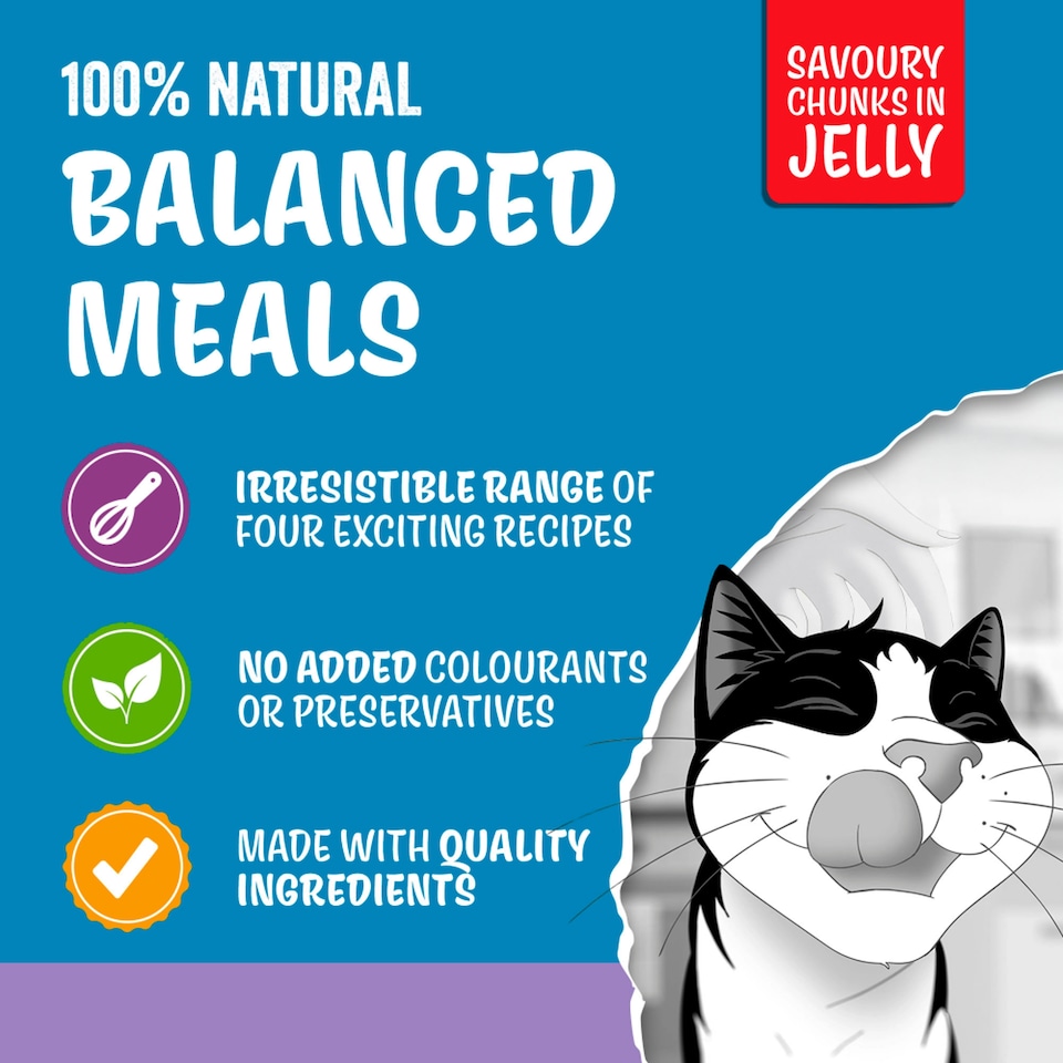 image 1 of FELIX Original Senior 7+ Mixed Selection in Jelly Wet Cat Food 40x85g
