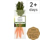 image 1 of Tesco Organic Bunched Carrots 400G