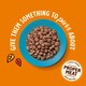 image 3 of  Lily’s Kitchen Tasty Cuts in Gravy Multipack for Adult Cats 4x85g,