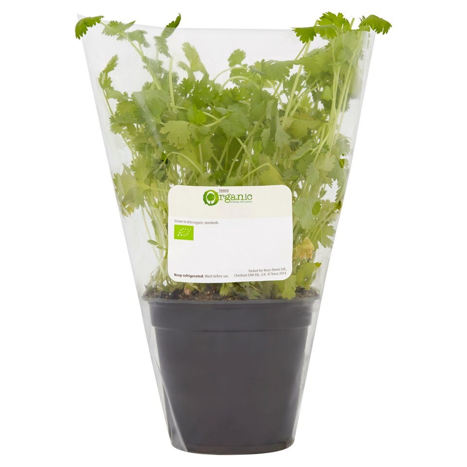 Tesco Organic Coriander Tesco Groceries