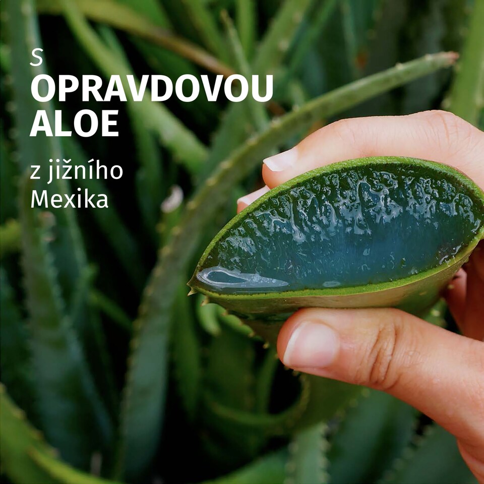 Obrázek 1 pro produkt Kondicionér Herbal Essences Aloe Moisturise 250ml, Hydratace a Výživa Velmi Suchých vlasů