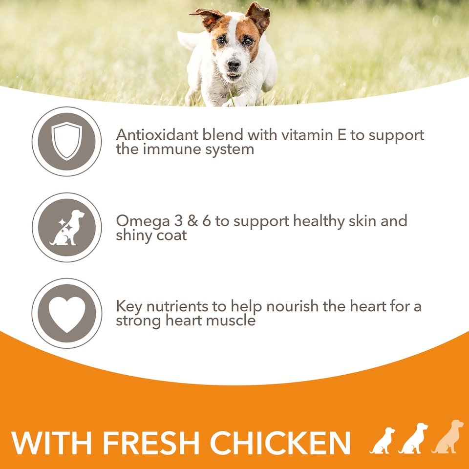 image 1 of Iams Dog Food Small & Medium Adult With Chicken 800G