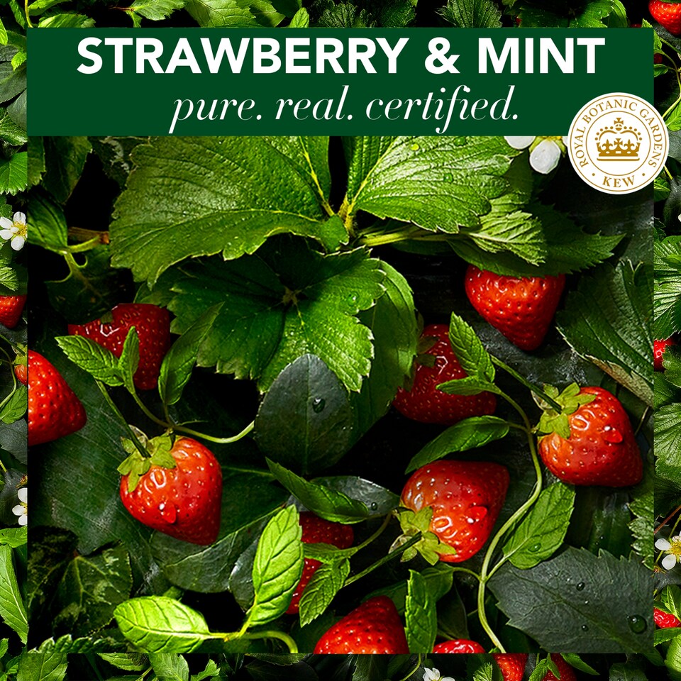 image 1 of Herbal Essences Strawberry & Mint Repair Hair Conditioner 275ml