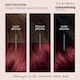 image 3 of CLAIROL COLOUR STRONG PERMANENT HAIR DYE - 4.46 INTENSE DARK RED