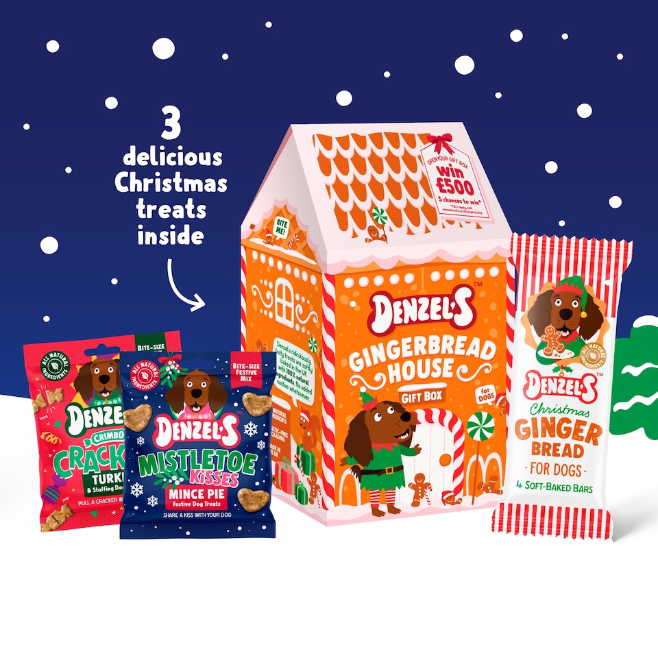 image 1 of Denzel's Gingerbread House For Dogs 140g