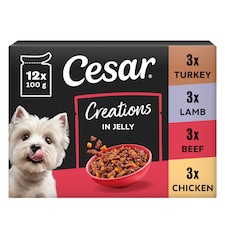 CESAR Dog Pouches Creations in Jelly 12x100g